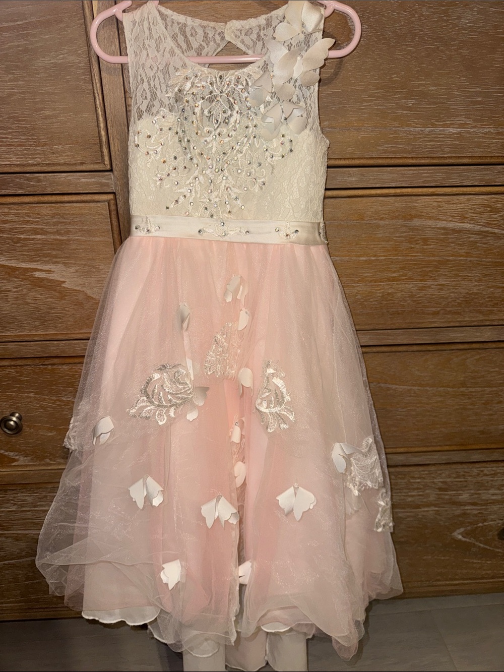 Girls Ivory and Light Pink Lace Tulle Party Dress